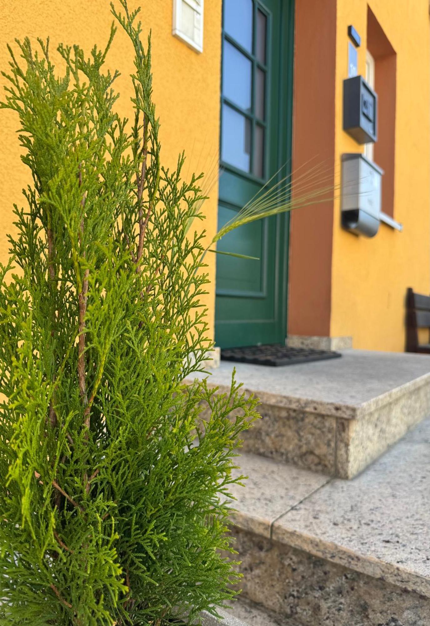 Mainsommer Kemmern Buitenkant foto